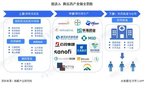 降压药行业产业链全景梳理及区域热力地图